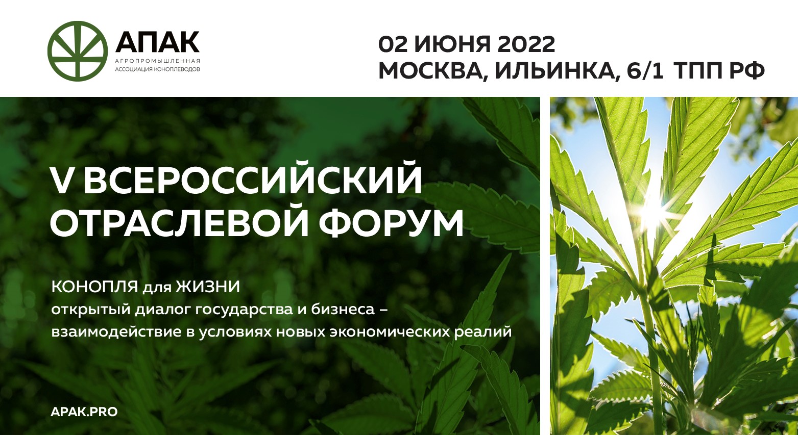 Марихуана форум москва купить марихуана форум москва купить